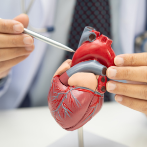 Cardiologie � la Clinique Chirurgicale du Libournais