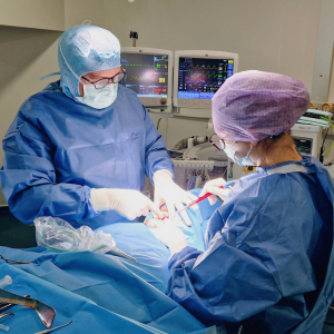 Visuel article blog Chirurgie Orale - Clinique Chirurgicale du Libournais