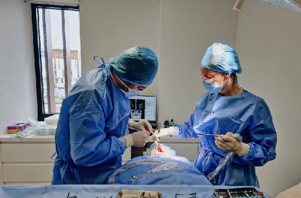 Intervention sous anesth�sie locale,� Dr BROTHIER